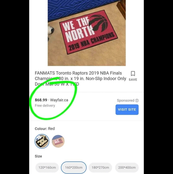 2019 RAPTORS Championship rug NWT - Picture 3 of 3